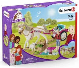 Trăsură pentru marea paradă de cai