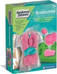 Set educațional de anatomie CLEMENTONI