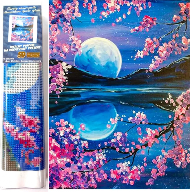 Norimpex pictură cu diamante Luna Răsăritoare 30x40 cm