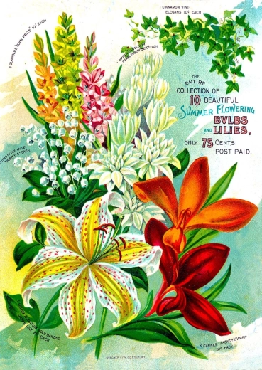 Puzzle Enjoy Catalog floral vintage 1000 de piese