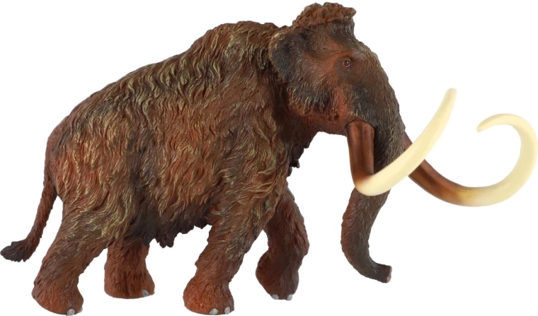 Textură și colorit fidele