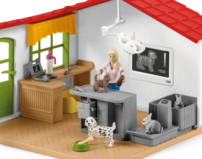 Cabinet veterinar realist cu raze X