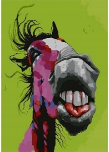 Norimpex Pictură după numere Crazy Horse 40 × 50 cm