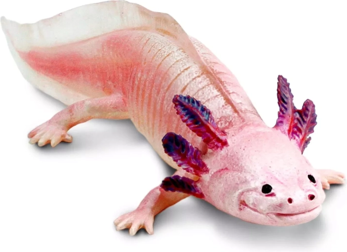 Safari Ltd. figurină axolotl