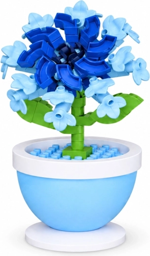 Hibiscus albastru în ghiveci decorativ