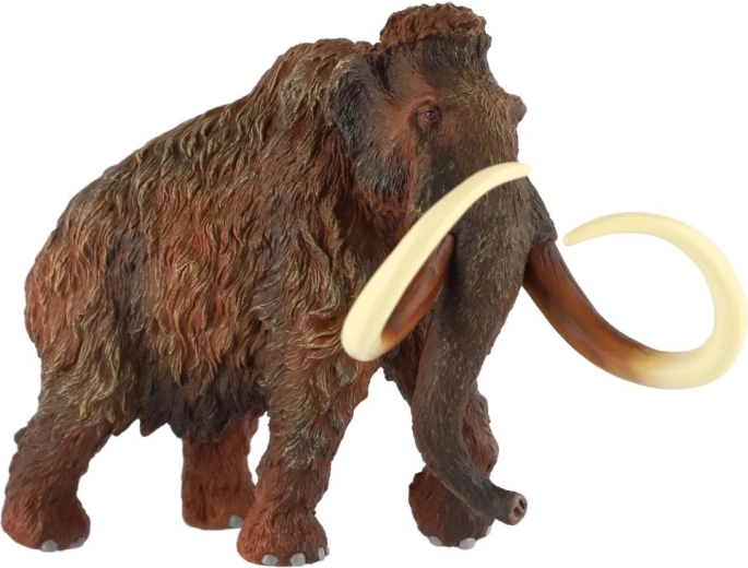 Colți impunători pentru un aspect autentic