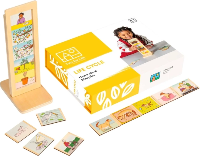 Toys for Life cicluri de viață – set educațional cu carduri