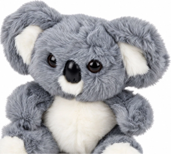Aspect adorabil de koală