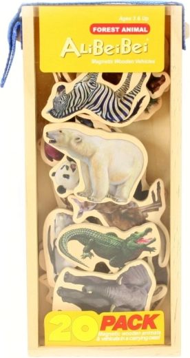 Învățare magnetică și joacă creativă