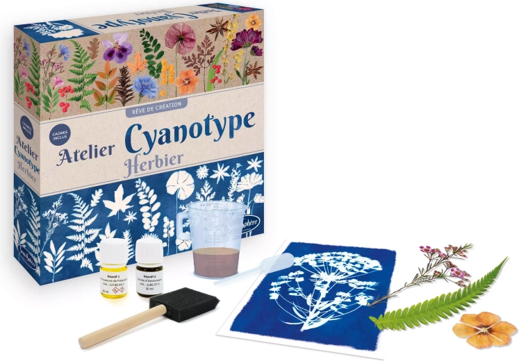 Sentosphere cianotipie – atelier de ierbar