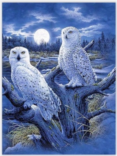 Norimpex pictură după numere Bufnițe și lună 40 × 50 cm