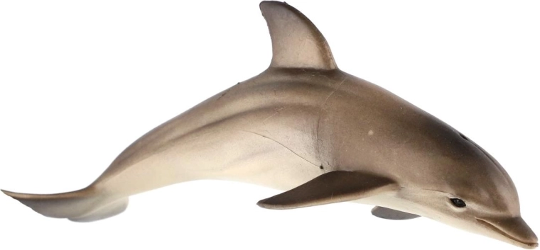 Reprezentare realistă a delfinului