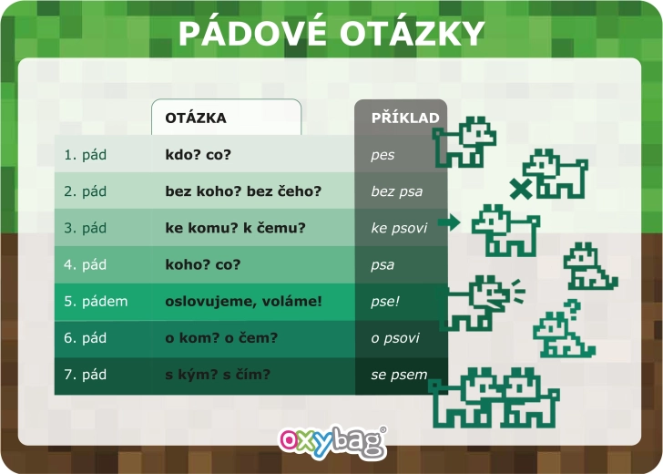 Playworld fișă educațională A4 întrebări de cazuri - 1 bucată