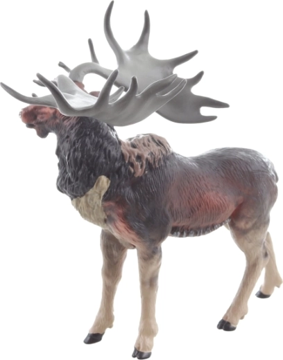 Postură stabilă și dimensiuni sigure