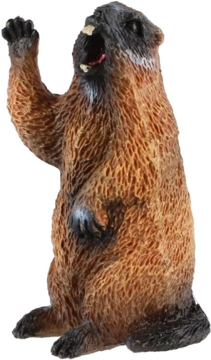 Motiv realist de marmotă