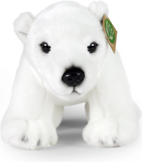 Urs polar realist