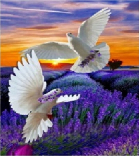 Norimpex pictură cu diamante Porumbelul păcii 30 × 40 cm