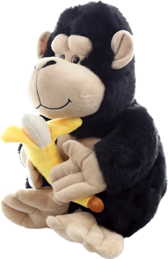 Execuție sigură de la 0+