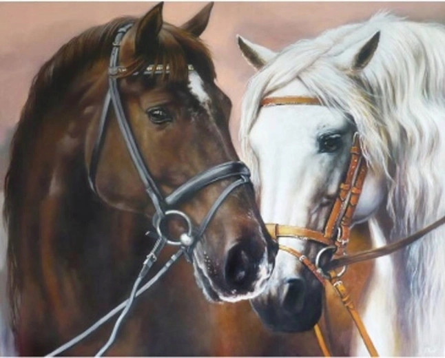 Norimpex Pictură pe numere cu doi cai care se îmbrățișează 40 × 50 cm