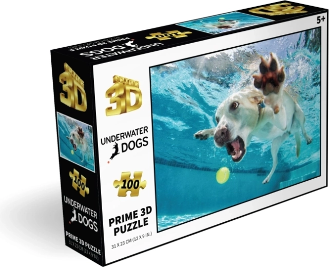 100 de piese pentru distracție isteață