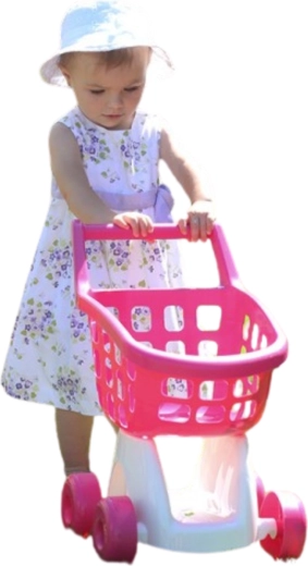Joc de-a magazinul care educă