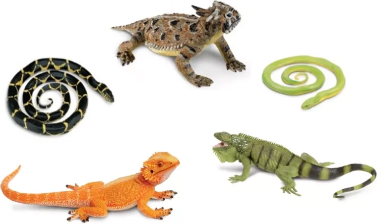 Safari Ltd. șerpi și șopârle – set de 5 figurine