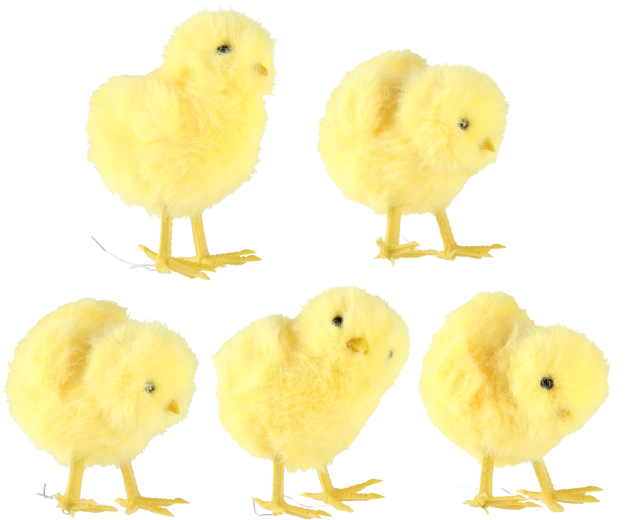 Set de 10 piese în 5 modele