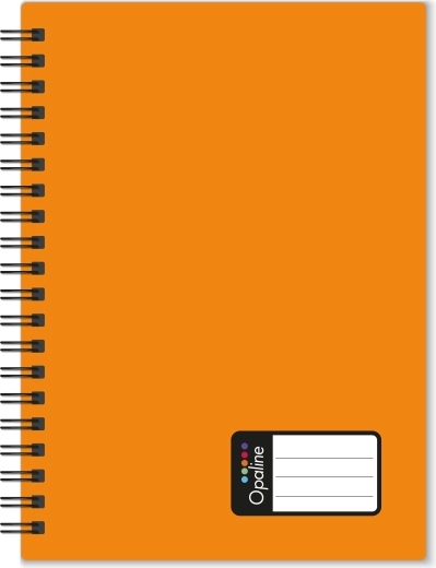 Bloc spirală A4 Opaline, portocaliu, dictat