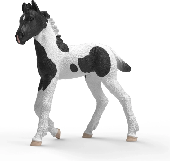 Schleich Horse Club mânz de colecție Rocky - 1 bucată