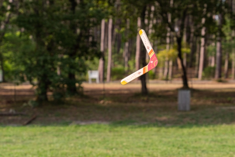 Se întoarce la aruncarea corectă