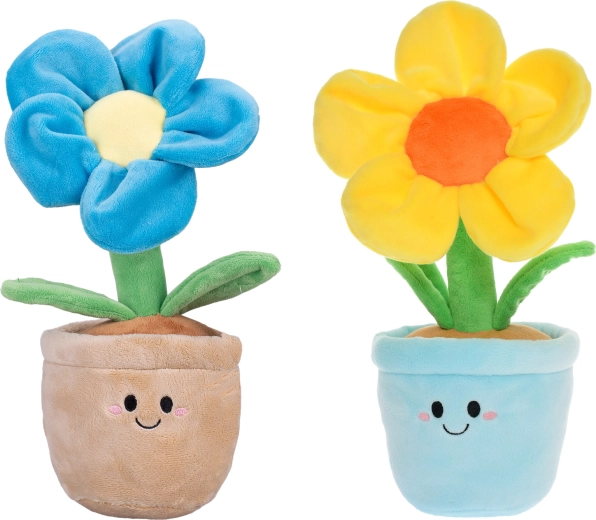 Culori vesele și design adorabil