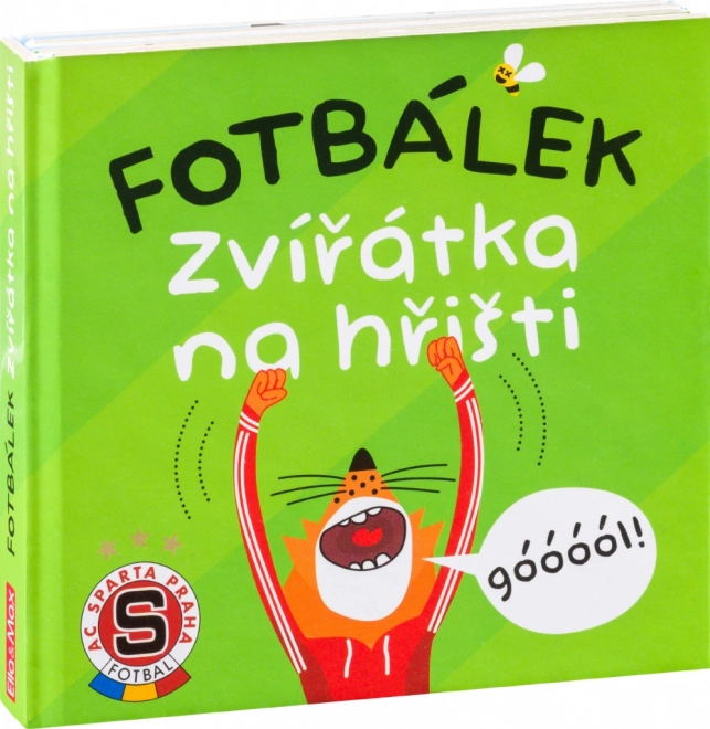 Fotbalul Animăluțe pe teren