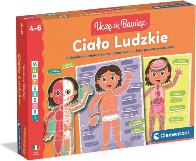 Corpul uman – puzzle educativ pentru copii 4–6 ani