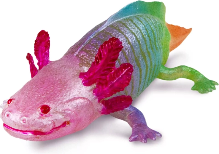 Colorit curcubeu fantastic și detalii realiste