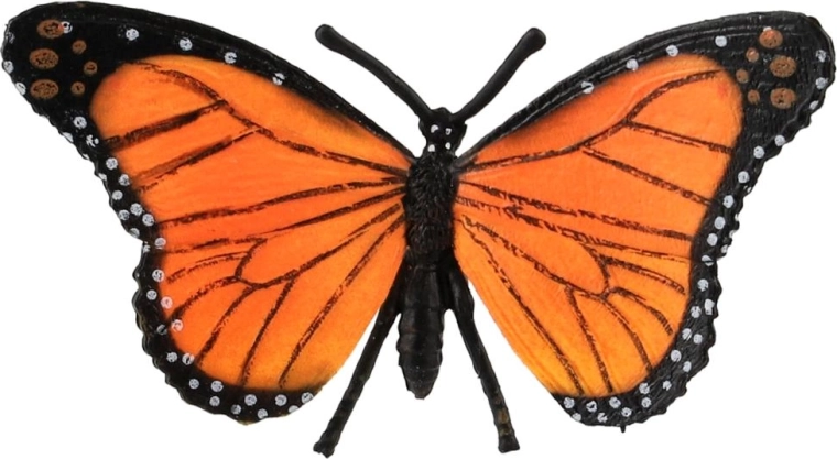 Culorile autentice ale monarhului