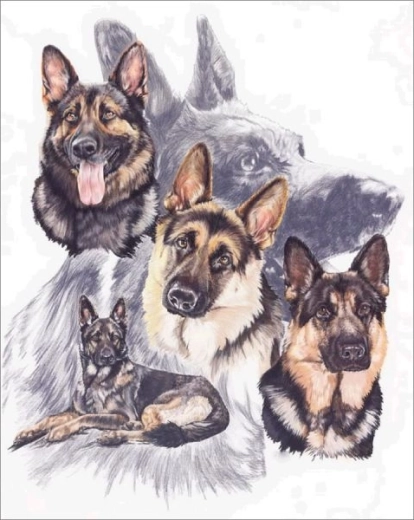 Broderie cu diamante (diamond painting) – ciobănești germani 30 × 40 cm – 1 bucată
