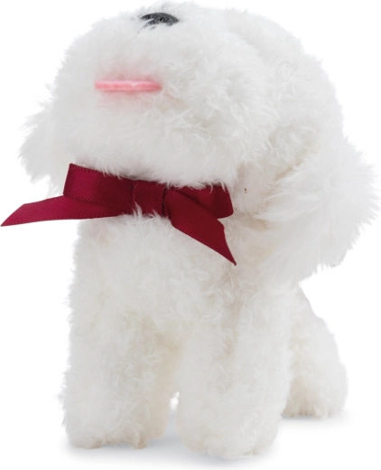 Bichon drăgălaș cu fundiță