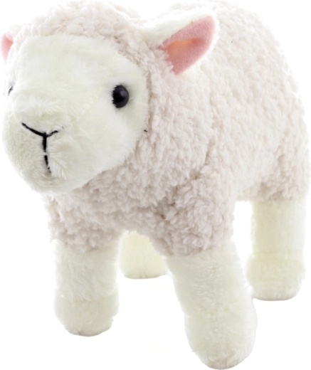 Ușoară și compactă pentru acasă și în călătorii