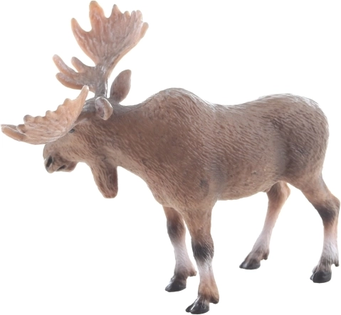 Dimensiune ideală pentru mâini mici