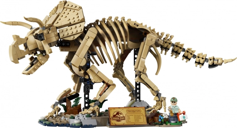 Schelet detaliat de triceratops ca model de expunere