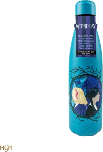 Sticlă termo Wednesday Wednesday și Edin 500 ml