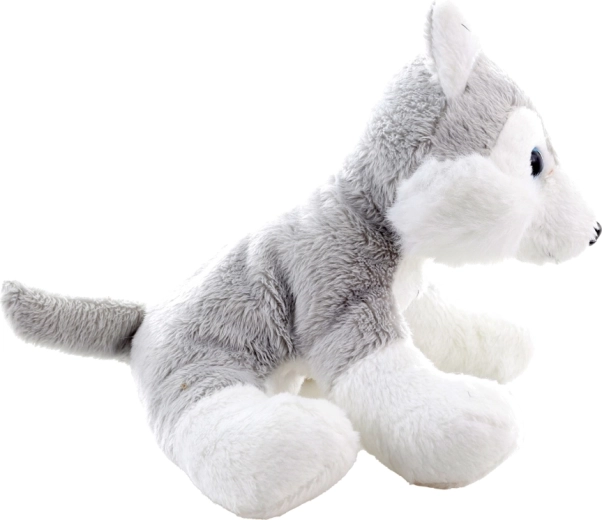 Sigur pentru cei mai mici