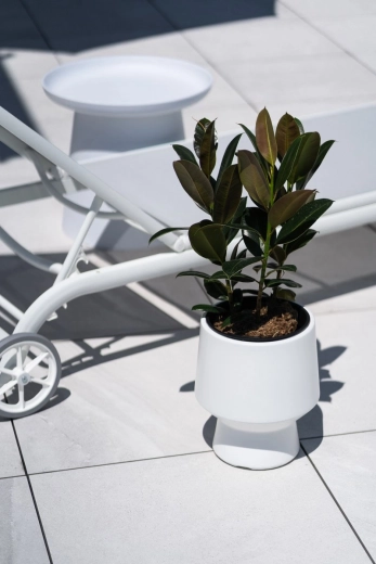 Design elegant minimalist