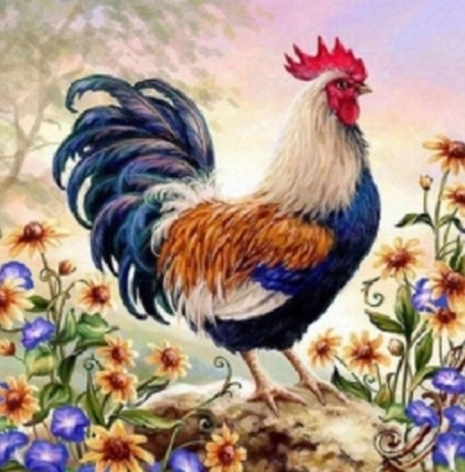 Norimpex pictură după numere Cocoș în flori 40 × 50 cm