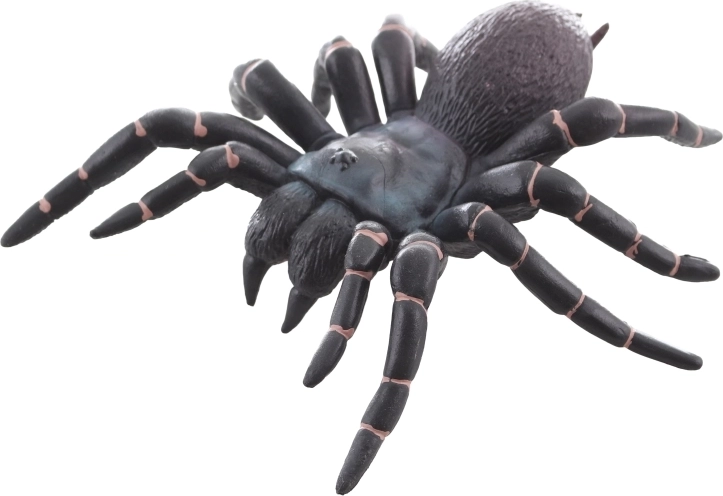 Ideală pentru învățare și decorațiuni