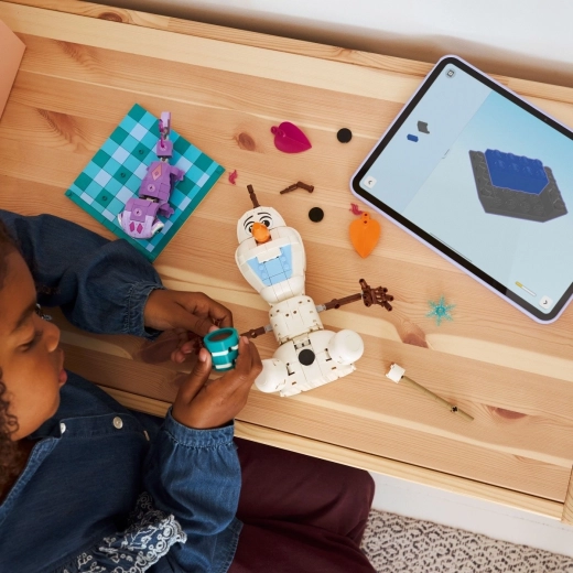 Construcție cu suport LEGO Builder