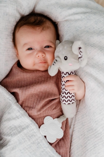 Piuit delicat pentru dezvoltarea senzorială