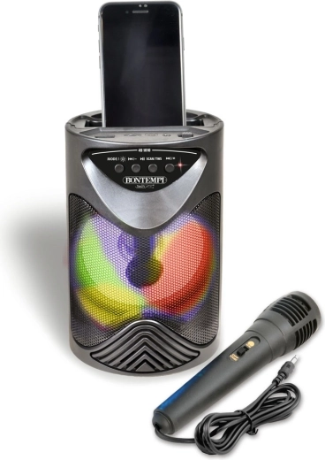 Karaoke cu microfon inclus în pachet