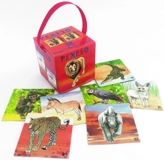 AKIM memo Safari în cutie cu panglică (64 de cărți)