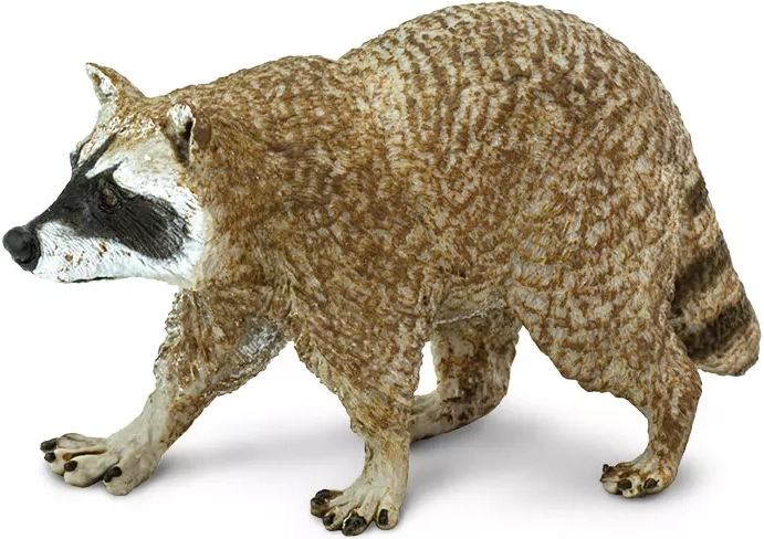 Figurină raton nord-american Safari Ltd.